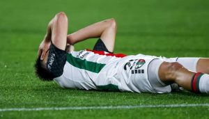 Eliminación de Palestino en la Copa Sudamericana por Parte de Bolívar - Palestino cae ante Bolívar y se despide de la Copa Sudamericana