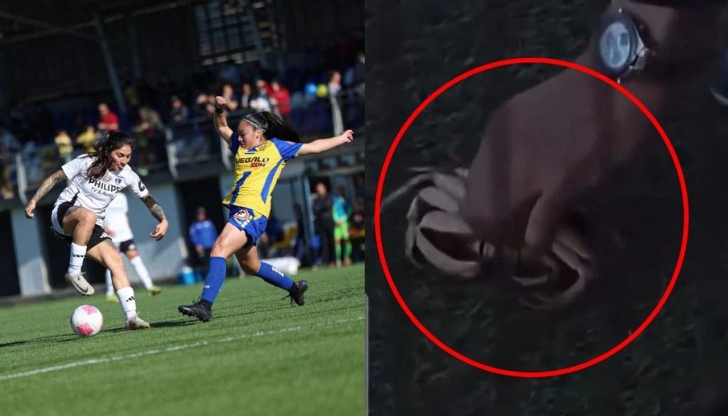 Interrupción de un Partido Femenino por una Jaiba en Talcahuano - ¡Insólito: La Jaiba Detiene el Triunfo de Colo Colo Femenino!